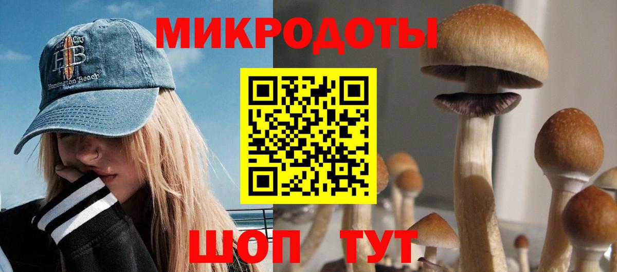 цены   Вход с VPN  Малоярославец  Псилоцибиновые грибы Cubensis 